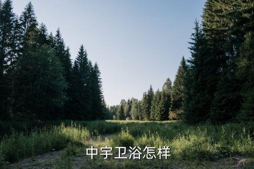 陜西中宇衛(wèi)浴售后電話,買(mǎi)不到一年衛(wèi)生潔具我國(guó)廠商竟沒(méi)人送貨
