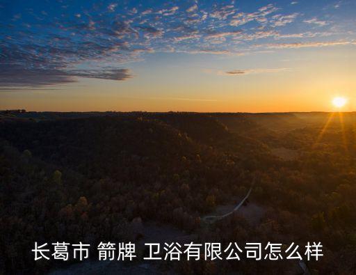 箭牌衛(wèi)浴蹬便器,長葛市箭牌-2/有限公司或列入衛(wèi)浴十大品牌