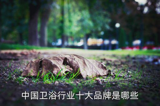 合肥恒潔衛(wèi)浴7月,衛(wèi)生十大品牌之一日豐衛(wèi)浴上榜