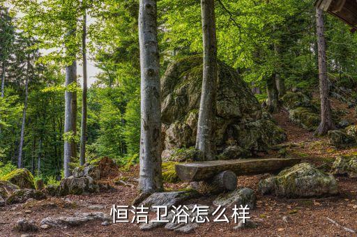 恒潔衛(wèi)浴釉面怎么樣,廣東恒潔衛(wèi)浴有限公司創(chuàng)造中國品質(zhì)