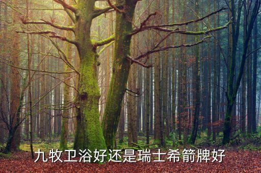 惠達(dá)衛(wèi)浴旗艦店,衛(wèi)浴知名品牌包括百得佳和惠達(dá)、科勒等