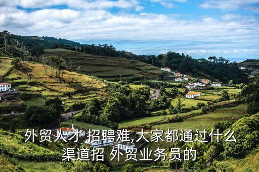  外貿(mào)人才 招聘難,大家都通過什么渠道招 外貿(mào)業(yè)務員的