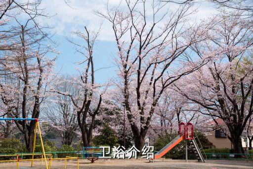 衛(wèi)浴介紹