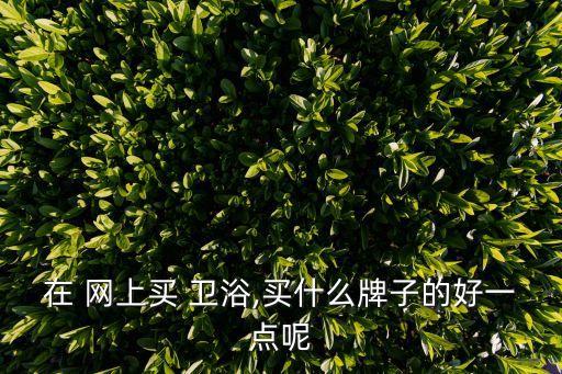 在 網(wǎng)上買 衛(wèi)浴,買什么牌子的好一點呢
