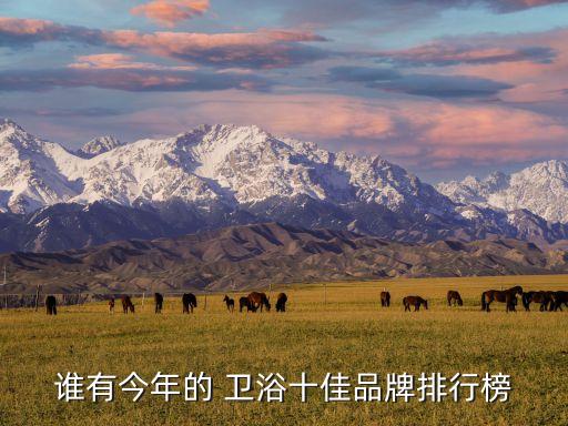 誰(shuí)有今年的 衛(wèi)浴十佳品牌排行榜