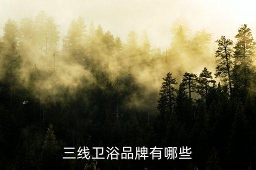 華美嘉衛(wèi)浴,世界十大廚衛(wèi)品牌之一摩恩衛(wèi)浴是一個(gè)絕佳選擇
