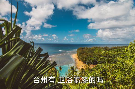 臺(tái)州有 衛(wèi)浴噴漆的嗎