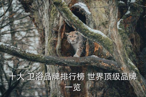 十大 衛(wèi)浴品牌排行榜 世界頂級品牌一覽