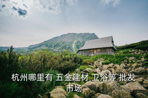 杭州哪里有 五金建材 衛(wèi)浴等 批發(fā)市場