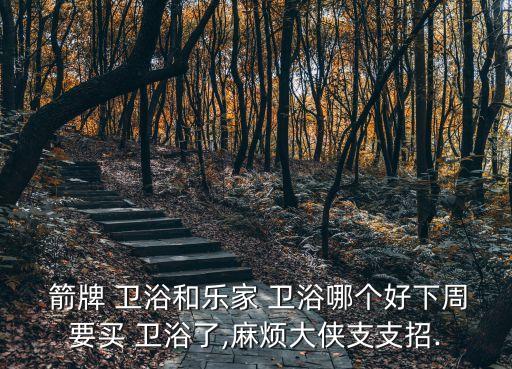 合肥箭牌衛(wèi)浴客服,箭牌衛(wèi)生陶瓷馬桶底部有箭牌型號