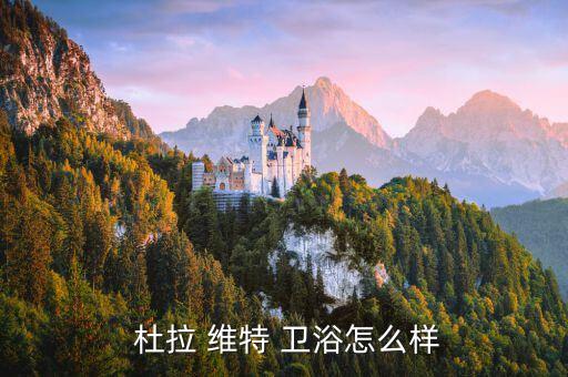  杜拉 維特 衛(wèi)浴怎么樣