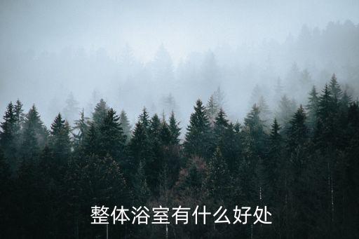  整體浴室有什么好處