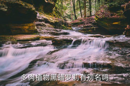 多肉植物黑暗羅莉有別名嗎