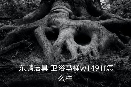 東鵬衛(wèi)浴官網(wǎng)價格表,智能馬桶十大品牌東鵬衛(wèi)浴馬桶熱銷
