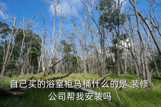 自己買的浴室柜馬桶什么的是 裝修 公司幫我安裝嗎