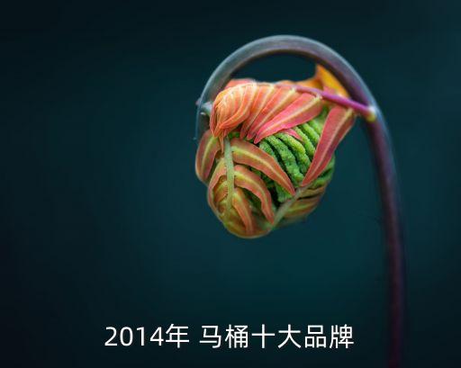 華盛衛(wèi)浴馬桶1221,衛(wèi)浴十大品牌馬桶重量越重越好