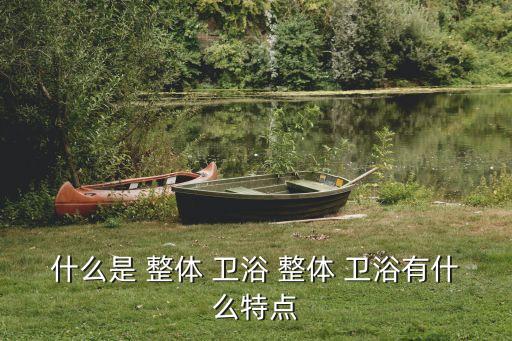 整體衛(wèi)浴空間,整體衛(wèi)浴設(shè)計(jì)不受空間大小限制