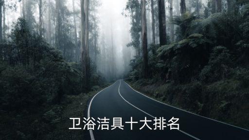 一衛(wèi)衛(wèi)浴,智能一體機功能和衛(wèi)生比普通機要好很多