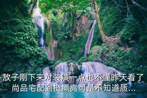 放子剛下來對裝潢一點也不懂昨天看了尚品宅配到挺漂亮可是不知道質(zhì)...