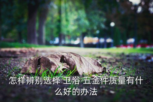 菏澤批發(fā)衛(wèi)浴五金掛件,衛(wèi)生間掛件選什么樣的五金?看這里!