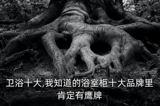 和成衛(wèi)浴十大,我知道的浴室柜十大品牌里肯定有鷹牌