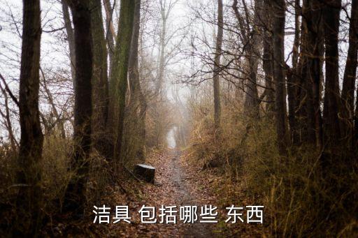 衛(wèi)浴包括哪些東西,衛(wèi)生潔具有哪些種類