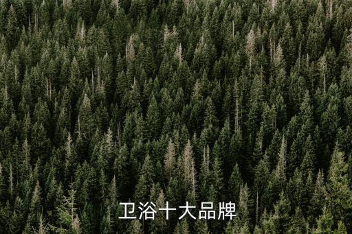  衛(wèi)浴十大品牌