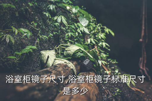 衛(wèi)浴鏡前柜,浴室柜尺寸比較大一般需要邊柜達1600mm