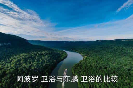  阿波羅 衛(wèi)浴與東鵬 衛(wèi)浴的比較