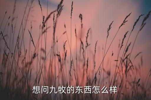 想問九牧的東西怎么樣