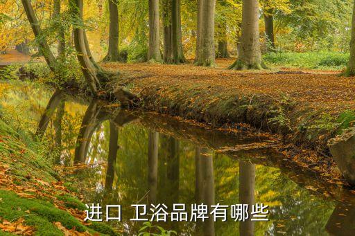 進口 衛(wèi)浴品牌有哪些