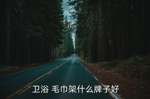  衛(wèi)浴 毛巾架什么牌子好