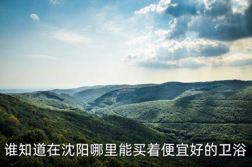 誰(shuí)知道在沈陽(yáng)哪里能買著便宜好的衛(wèi)浴