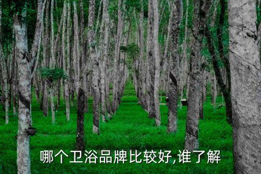 哪個(gè)衛(wèi)浴品牌比較好,誰了解