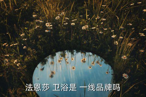 法恩莎 衛(wèi)浴是 一線品牌嗎