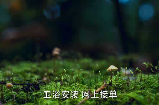  衛(wèi)浴安裝 網(wǎng)上接單