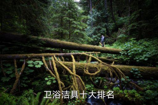 維可陶衛(wèi)浴總部電話,這些衛(wèi)浴品牌挺受歡迎可以考慮一下
