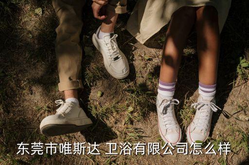 東莞市唯斯達(dá) 衛(wèi)浴有限公司怎么樣