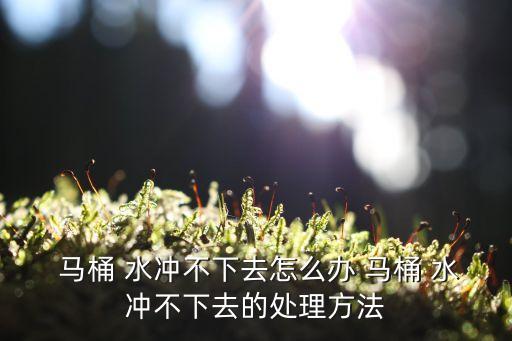  馬桶 水沖不下去怎么辦 馬桶 水沖不下去的處理方法