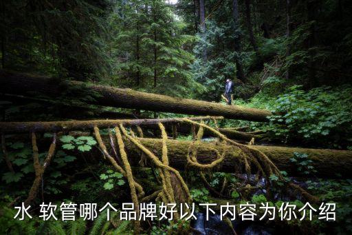 水 軟管哪個品牌好以下內(nèi)容為你介紹