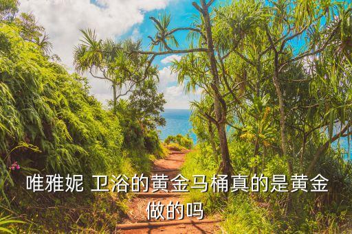 唯雅妮衛(wèi)浴排名,杭州唯雅妮家具有限公司黃金套房你敢入住嗎?