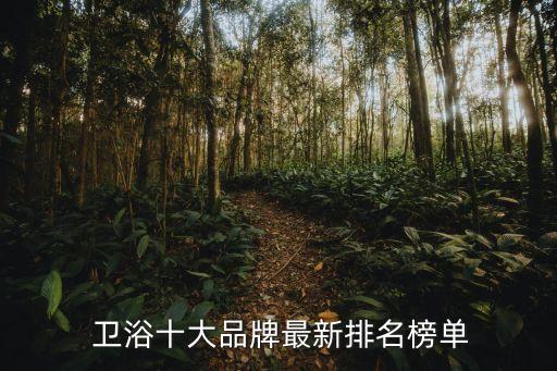 前十的衛(wèi)浴品牌公司,避免買到劣質(zhì)衛(wèi)浴產(chǎn)品三大注意事項