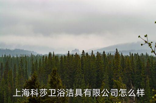 上?？粕l(wèi)浴潔具有限公司怎么樣