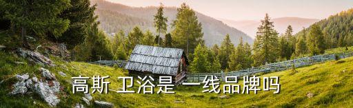 衛(wèi)浴是一線品牌嗎,衛(wèi)生用品知多少?問與答（12）