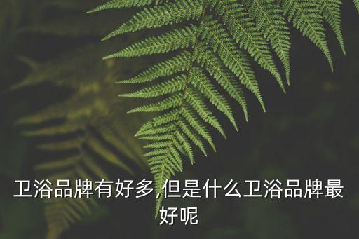衛(wèi)浴品牌有好多,但是什么衛(wèi)浴品牌最好呢