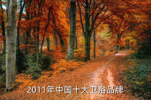 2011年中國(guó)十大衛(wèi)浴品牌