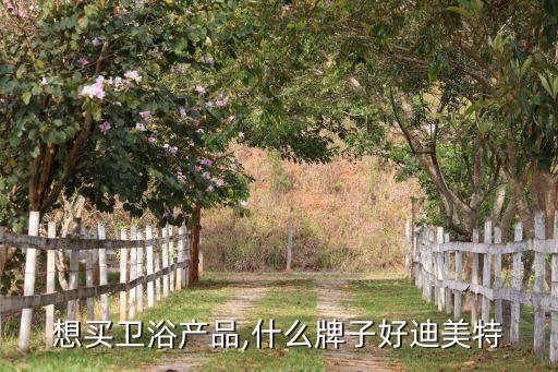 想買衛(wèi)浴產(chǎn)品,什么牌子好迪美特
