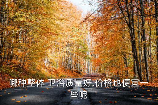 衛(wèi)浴外貿(mào)出口,選購時需注意什么?廁所須知道的事