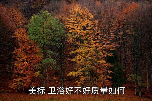  美標 衛(wèi)浴好不好質量如何