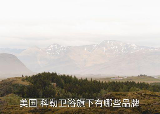科勒衛(wèi)浴排名,全球衛(wèi)浴知名品牌排名出爐!